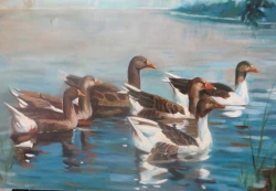 اولین جشنواه ی فرهنگی هنری اساتید و کارکنان دانشگاه فرهنگیان