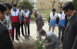 غرس نهال به مناسبت روز درختکاری