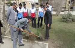 غرس نهال به مناسبت روز درختکاری