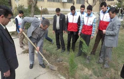 غرس نهال به مناسبت روز درختکاری