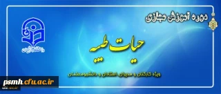 طرح معرفتی حیات طیبه مجازی آغاز شد