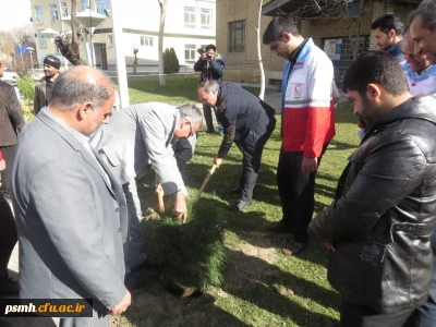 در دانشگاه فرهنگیان همدان برگزار شد:
مراسم نمادین کاشت نهال به مناسبت روز درختکاری و استقبال از رویداد همدان 2018