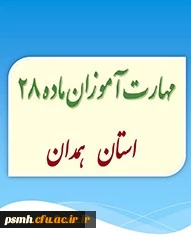 مهارت آموزان ماده28