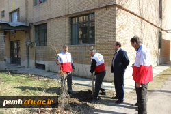 به مناسبت فرا رسیدن روز درختکاری انجام شد: غرس چندین نهال به همت کانون هلال احمر پردیس شهید مقصودی همدان