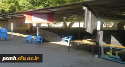 آغاز فرایند ثبت نام از دانشجو معلمان جدید الورود دانشگاه فرهنگیان استان همدان  5