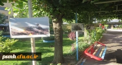 آغاز فرایند ثبت نام از دانشجو معلمان جدید الورود دانشگاه فرهنگیان استان همدان  12