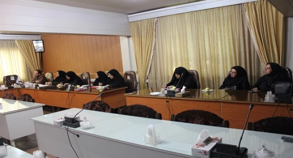 جلسه توجیهی و هماهنگی استفاده از سامانه ی آموزش عالی (HES)  4