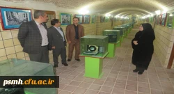 بازدید دکتر علی نجفی سرپرست مدیریت امور پردیس های استان از موزه ی اسناد و گنجینه ی آموزش و پرورش 4