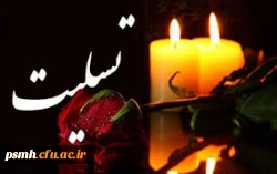 استاد ارجمند آقای دکتر کریمی نیا   2