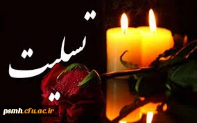 استاد ارجمند آقای دکتر کریمی نیا  