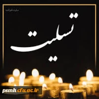 معاون محترم هماهنگی مدیریت امور پردیس های دانشگاه فرهنگیان همدان 2