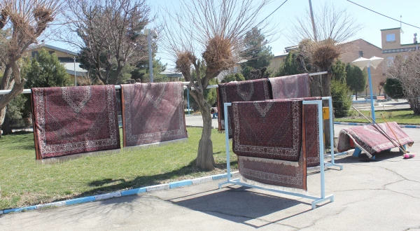 خانه تکانی در پردیس شهید مقصودی همدان برای استقبال از سال جدید 5