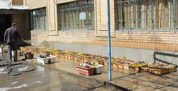 خانه تکانی در پردیس شهید مقصودی همدان برای استقبال از سال جدید 8