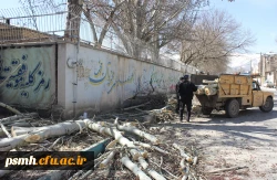 خانه تکانی در پردیس شهید مقصودی همدان برای استقبال از سال جدید 9