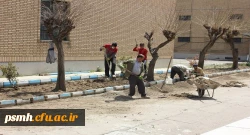 فرصت مناسبی برای انجام اقدامات زیرساختی و عمرانی در پردیس های استان ایجاد شده است

 10