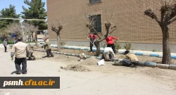 فرصت مناسبی برای انجام اقدامات زیرساختی و عمرانی در پردیس های استان ایجاد شده است

 11