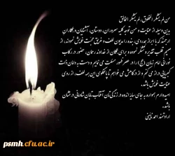 همکار ارجمند جناب آقای احمد نائینی  3