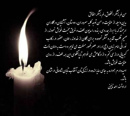 همکار ارجمند جناب آقای احمد نائینی  3