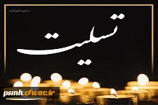 همکار ارجمند جناب آقای سید ابوتراب موسوی ارفع